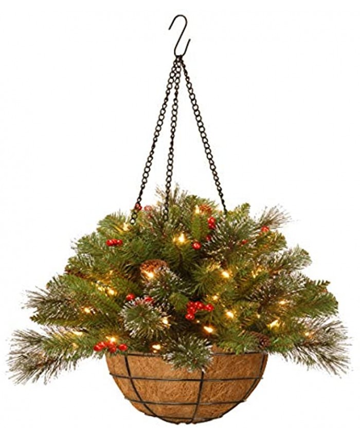 National Tree Company Pre-Lit Artificial Christmas Hanging Basket Crestwood Spruce Decorated With Frosted Pine Cones Berry Clusters White Lights Christmas Collection 16 Inches