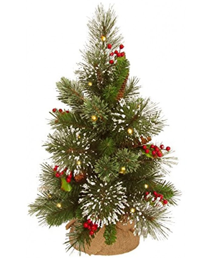 National Tree Company Pre-lit Artificial Mini Christmas Tree Includes Small White LED Lights Cones Red Berries Snowflakes and Cloth Bag Base 18 Inch Wintry Pine