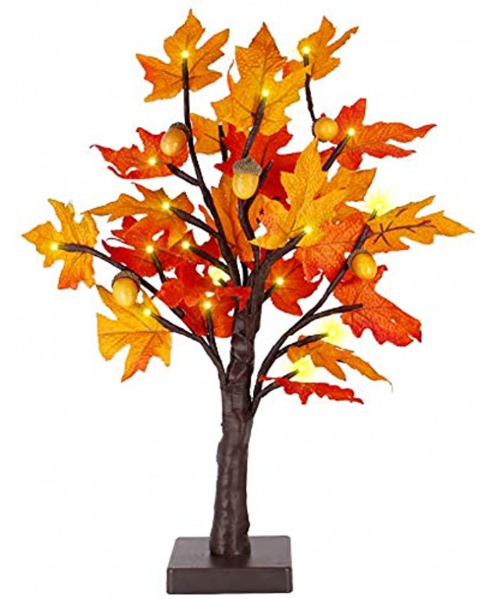 Twinkle Star 24 LED Tabletop Lighted Maple Tree Battery Operated Thanksgiving Table Decoration Lights Maple Leaves and Acorn Autumn Tree for Indoor Home Bedroom Fall Decorations