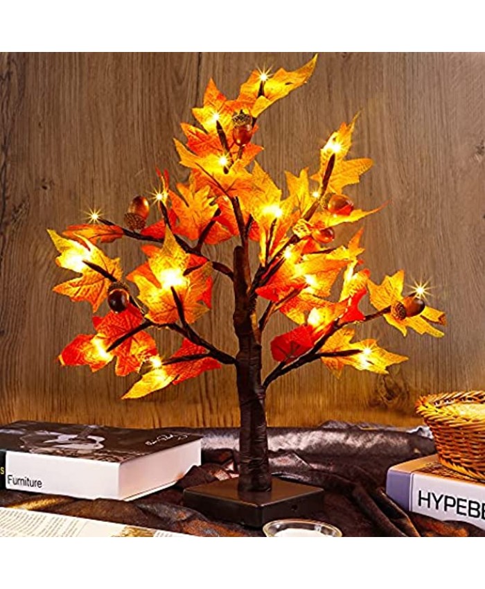 WATERGLIDE Tabletop Lighted Maple Tree 24 LED Thanksgiving Decorations Lights Artificial Table Centerpiece Battery Operated with Timer Leaf and Acorn Autumn Fall Trees for Indoor Home Bedroom Décor