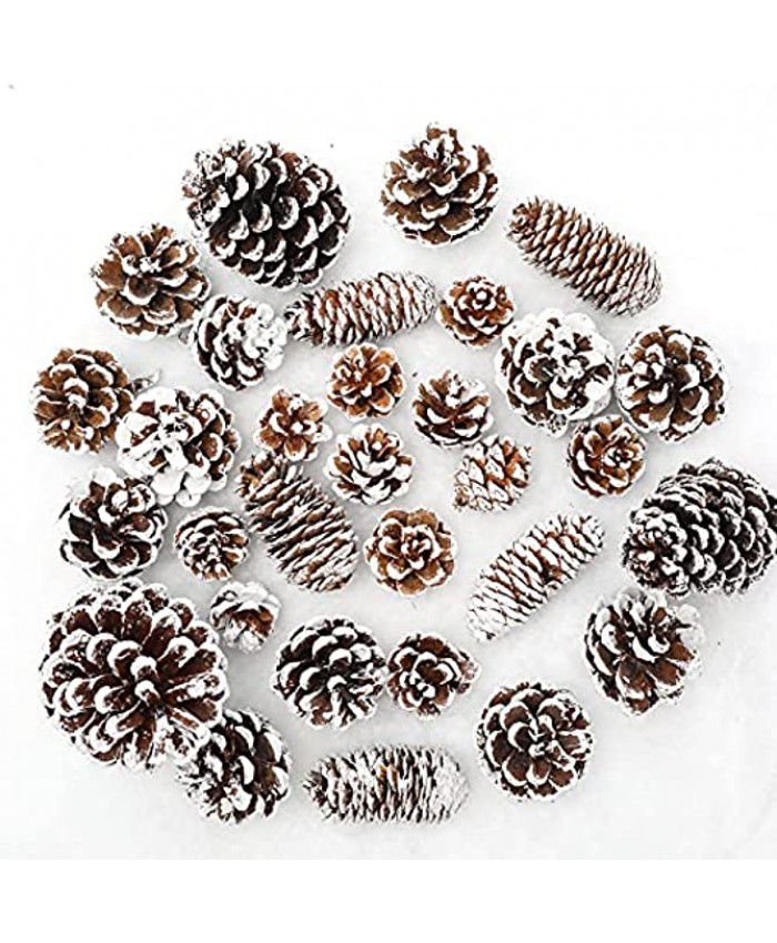 Whaline 43pcs Christmas Pine Cones Natural Snow Pinecones Assortment Pine Cones for Crafts Gift Xmas Tree Holiday Home Ornament Party Favor Decoration Fireplace Mantel Table Centerpiece 4 Styles
