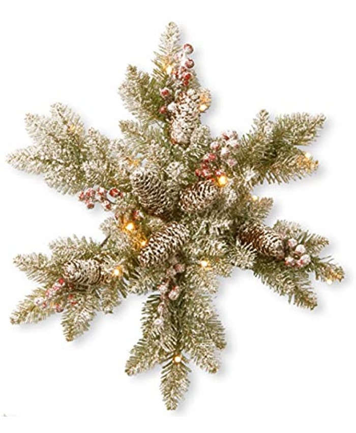 National Tree Company Pre-Lit Artificial Christmas Star Wreath Green Dunhill Fir White Lights Decorated with Pine Cones Frosted Branches Christmas Collection 18 Inches
