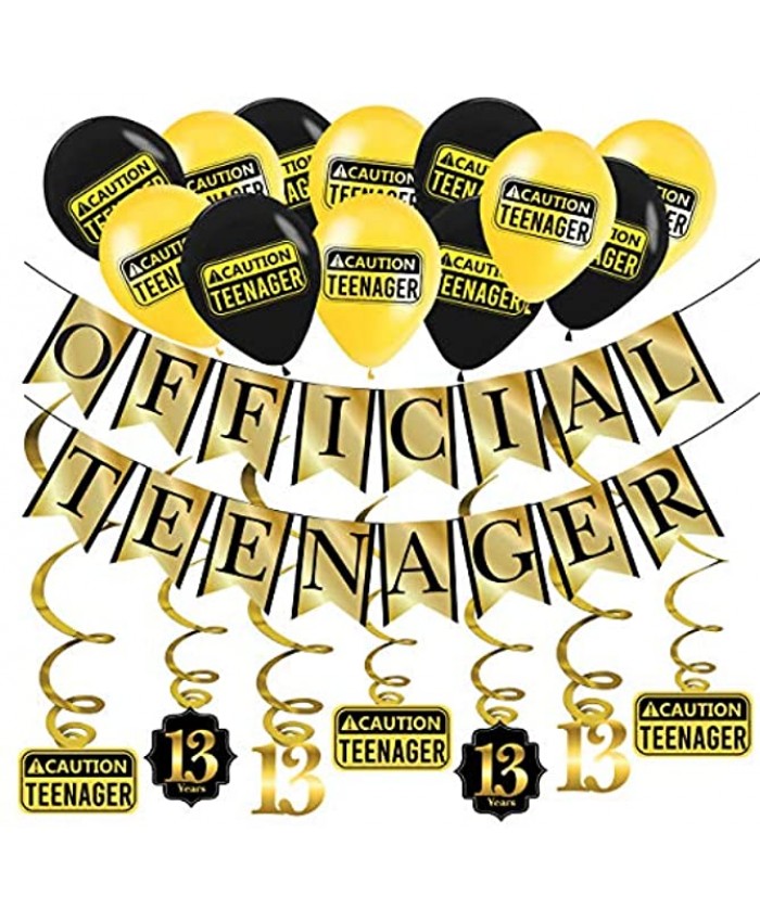 Funny Official Teenager 13th Birthday Party Pack Gold & Black 13th Birthday Party Supplies Decorations and Favors