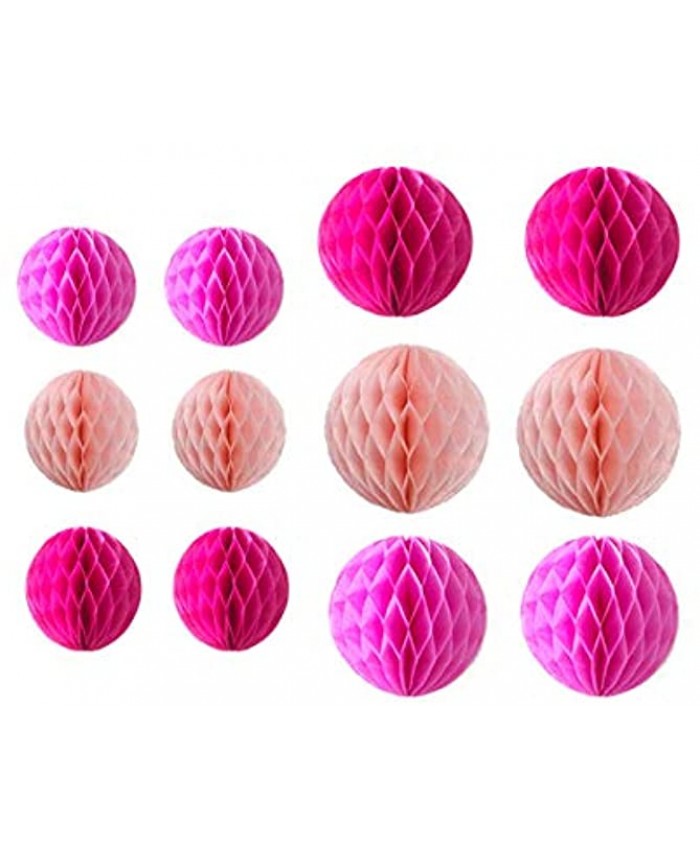 12pcs 6 inch 8 inch Tissue Paper Honeycomb Balls Party Backdrop Decoration Paper Flower Balls Craft Kit Paper Honeycomb Ball for Wedding Room Birthday Baby Shower Pink Pack